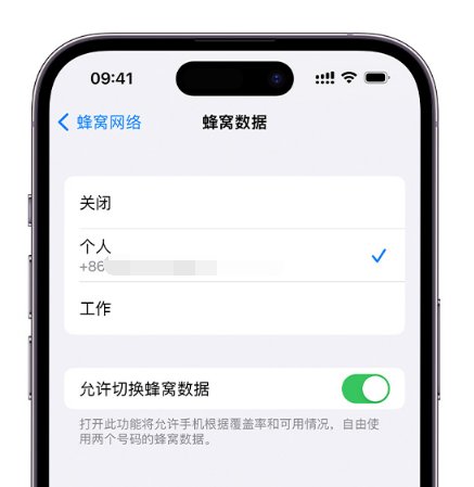 衡阳苹果维修服务分享如何在iPhone上使用双卡 